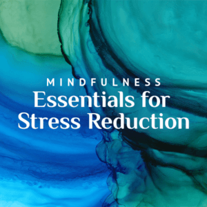 Mindfulness Essentials for Stress Reduction